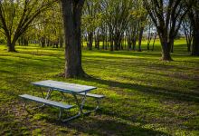 Hickories Park景点图片