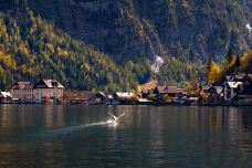 哈尔施塔特-萨尔茨堡