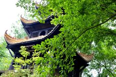 潼南大佛寺-重庆-鱼老蓓