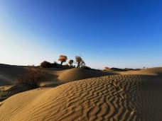 塔里木沙漠公路-且末-JJ77