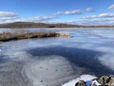 杜鹃湖-阿尔山-戴小喵睡不醒