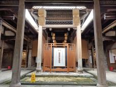 万载古城-万载-大松树叶子