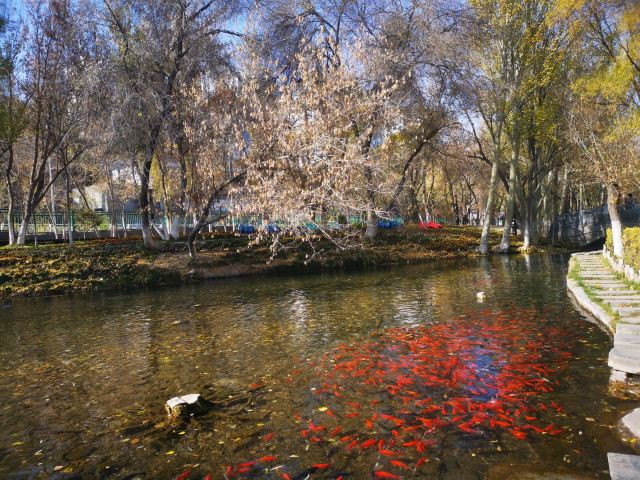 水磨沟风景区旅行图片 3