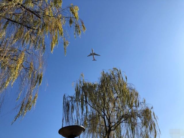 花博会主题公园旅行图片 8