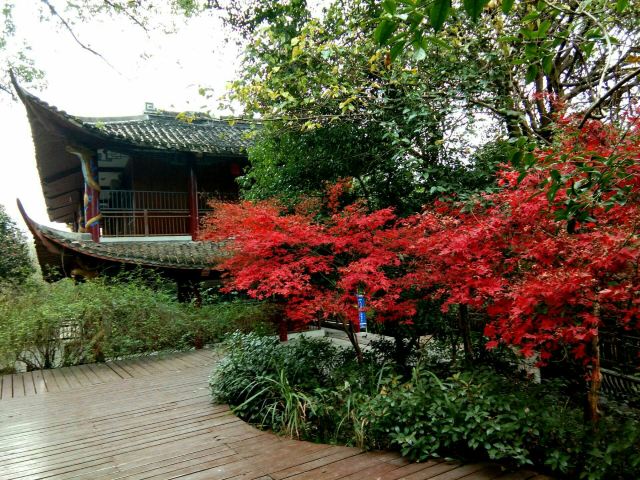 潜山国家森林公园旅行图片 2