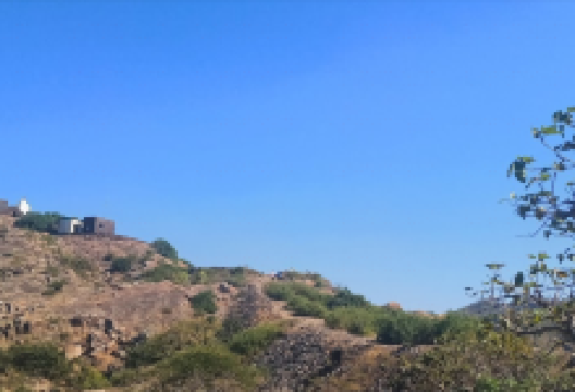 Barda Wildlife Sanctuary景点图片