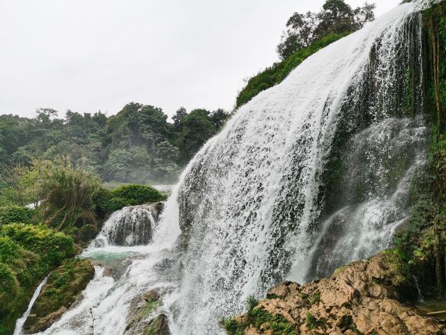 老木棉·紫园景区旅行图片 3
