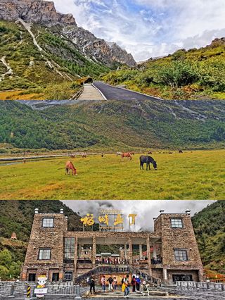 稻城亚丁自助行发现的奇妙小店桑耶文创