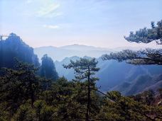 老界岭旅游度假区-西峡-不吃猫的大黑兔