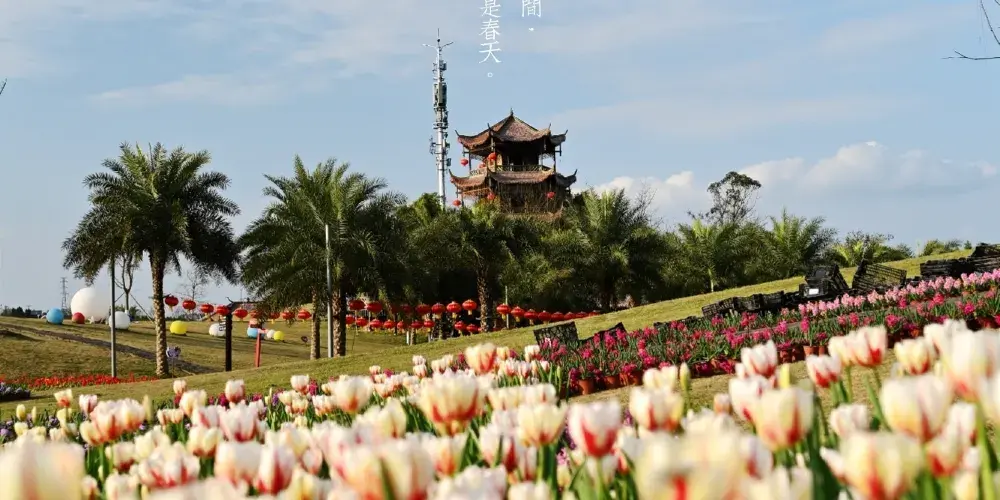 永安旅遊