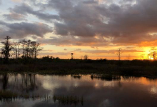 南崁溪人工湿地绿化园区景点图片