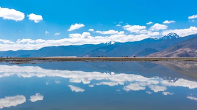 召唤我重回香格里拉的，除了热播剧《司藤》，更因这家高颜值的英迪格酒店！