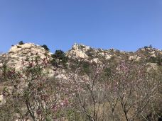 桃花涧-连云港-YoYo_8T9X7P5I