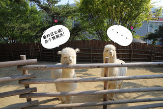 韩国大邱春夏出游景点推荐