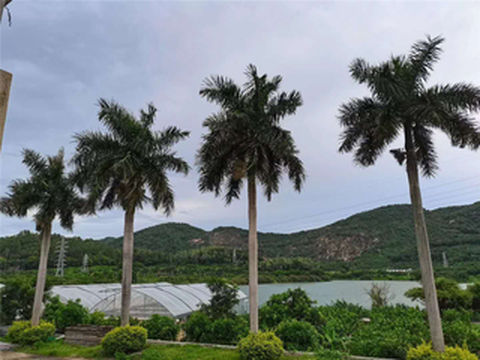 深圳田中园生态园农家乐一日游行程