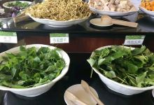 原生应用植物园餐厅美食图片