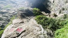 天龙桥-重庆-黄海大智若愚