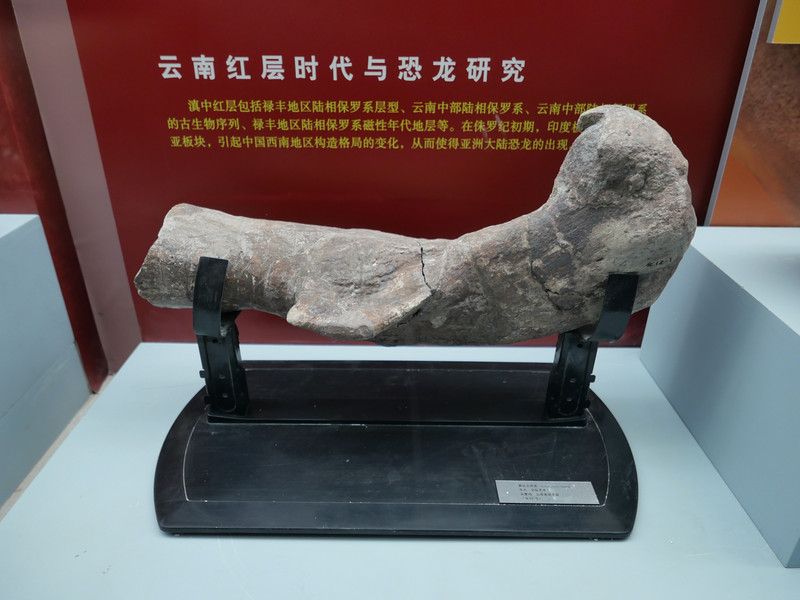 昆明旅游网