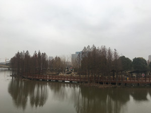 靖江游记图文-马洲公园，喷泉的容湖之恋