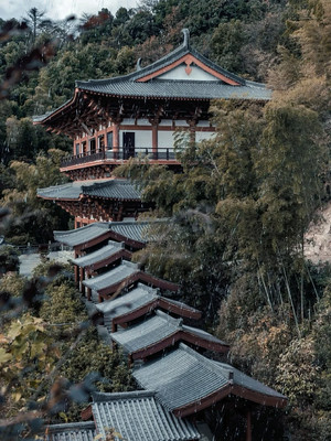 春日出游计划,那些江南烟雨里的宁波古韵,美成了画里的世界