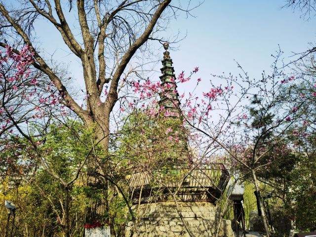 文瀛公园旅行图片 2