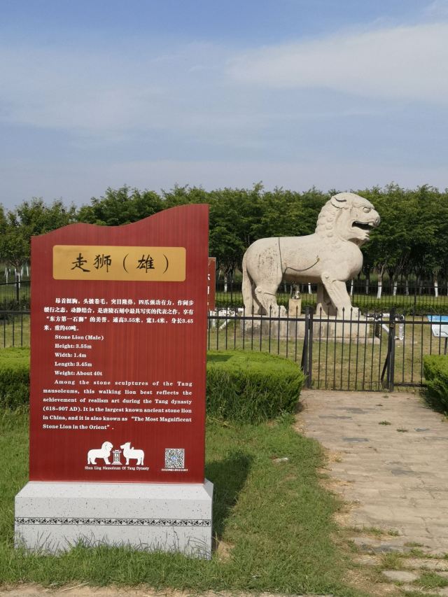唐顺陵-遗址公园旅行图片 12