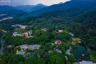 藏于密林的低调酒店,平时一房难求,成广东云浮生态度假热选