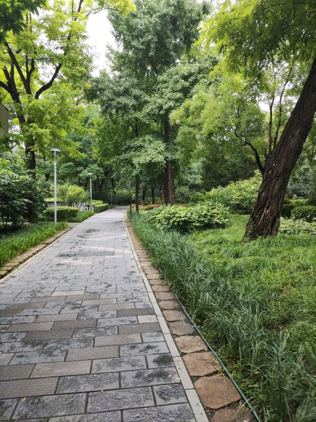 南馆公园旅行图片 7
