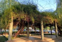 济河游园景点图片