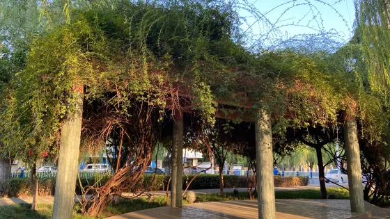 濟河遊園
