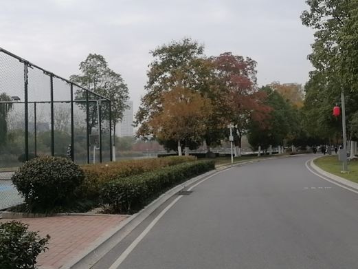 生态公园