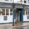 The Dolphin