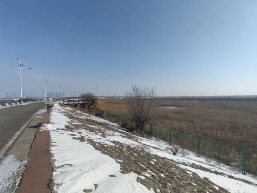 小白河湿地公园