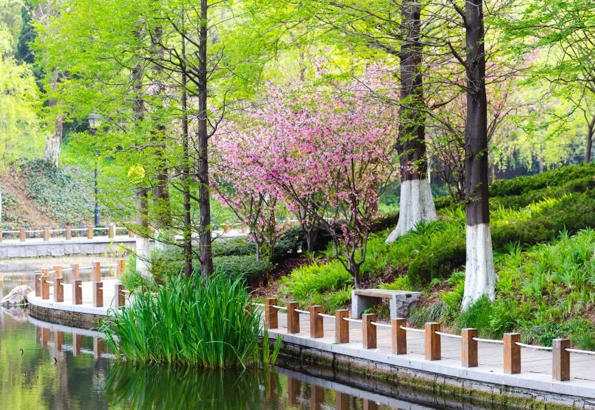 青岛市植物园