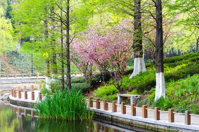 青岛市植物园