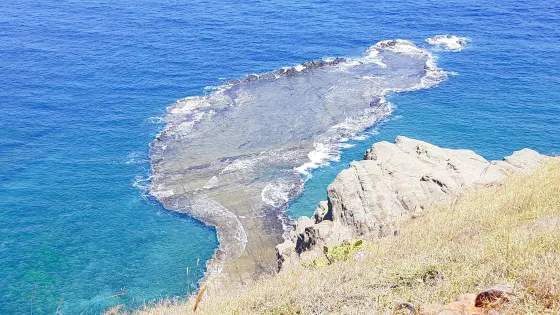 小台灣