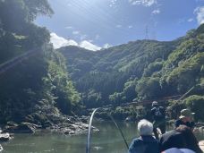 龟冈市-岱山香橙