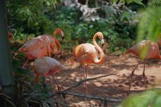 南昌动物园-南昌