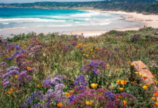 卡梅尔海滩景点图片