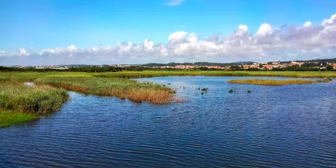 Passadicos da Barrinha
