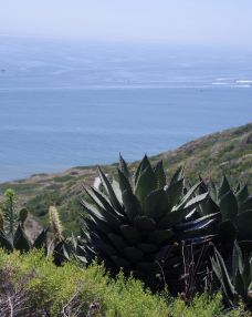 多利松国家自然保护区-佐拉-q****ky