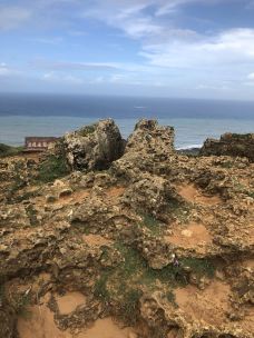 垦丁国家公园-屏东-绿带小米