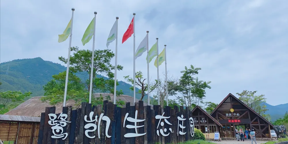 永安旅遊