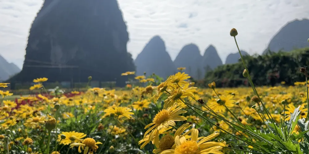 永安旅遊