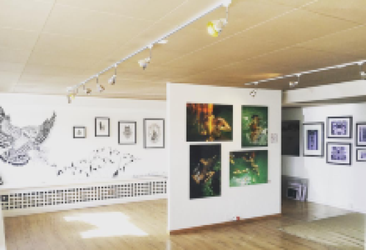 May Sky Gallery景点图片