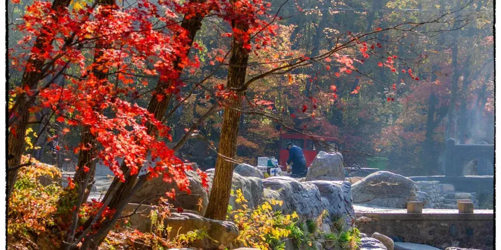 永安旅遊