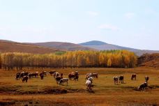 乌兰布统草原-克什克腾旗-Cherry2009