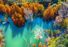 瀛湖风景区-安康-YoYo_9L5Q1Z4T