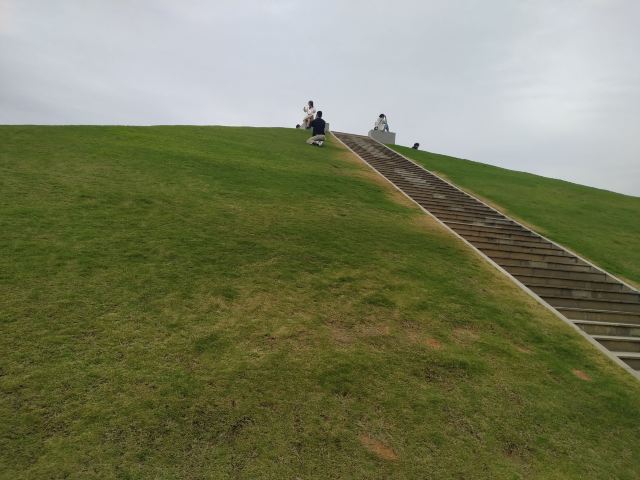 海湾公园旅行图片 4