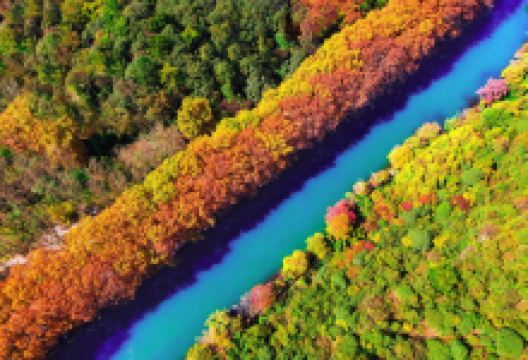 花溪黄金大道景点图片